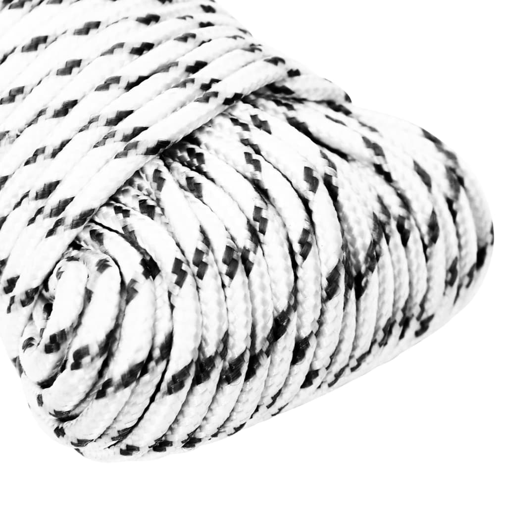 Vidaxl boottouw gevlochten 3 mm x 250 m polyester wit