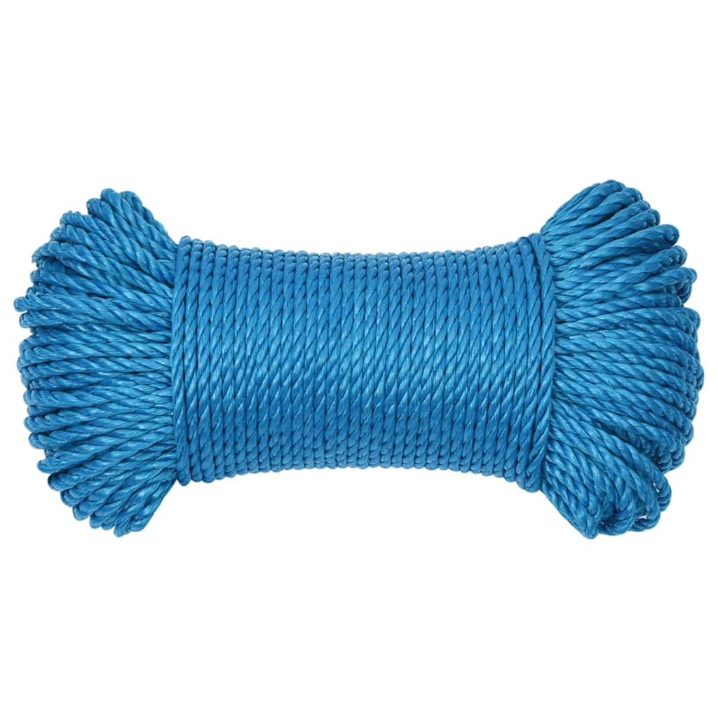 VidaXL Werktouw 3 mm 25 m polypropeen blauw