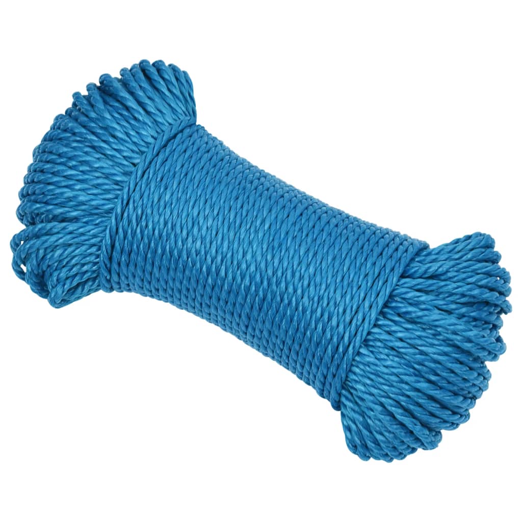 Vidaxl werktouw 3 mm 50 m polypropeen blauw