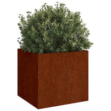 Vidaxl plantenbakken 2 st 49x47x46 cm cortenstaal