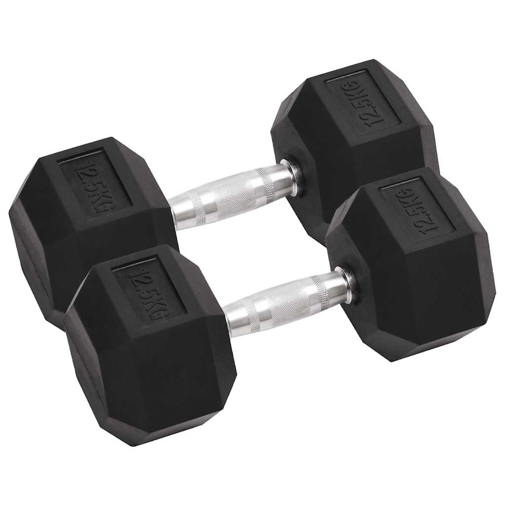 Vidaxl halters 2 st 25 kg totaal gietijzer