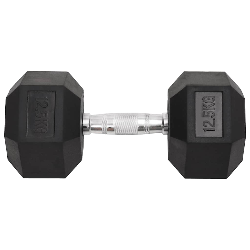 Vidaxl halters 2 st 25 kg totaal gietijzer