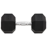 Vidaxl halters 22,5 kg gietijzer