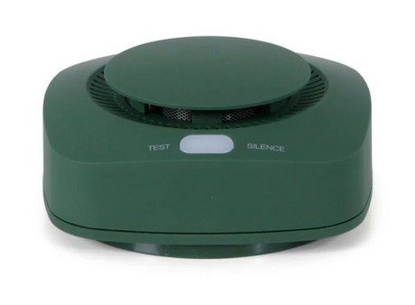 Smartwares brainz rookmelder - groen