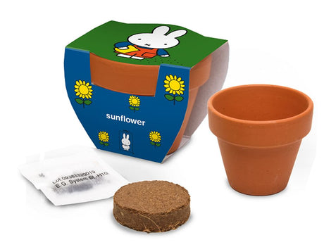 Nijntje terracota pot zonnebloem.