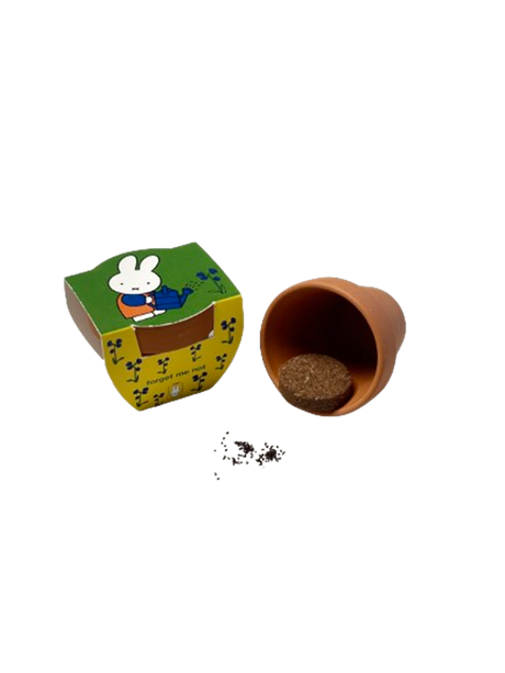 Nijntje terracota pot vergeet mij niet.