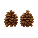 Hbx natural living geur dennenappels pinus pinea cinnamon
