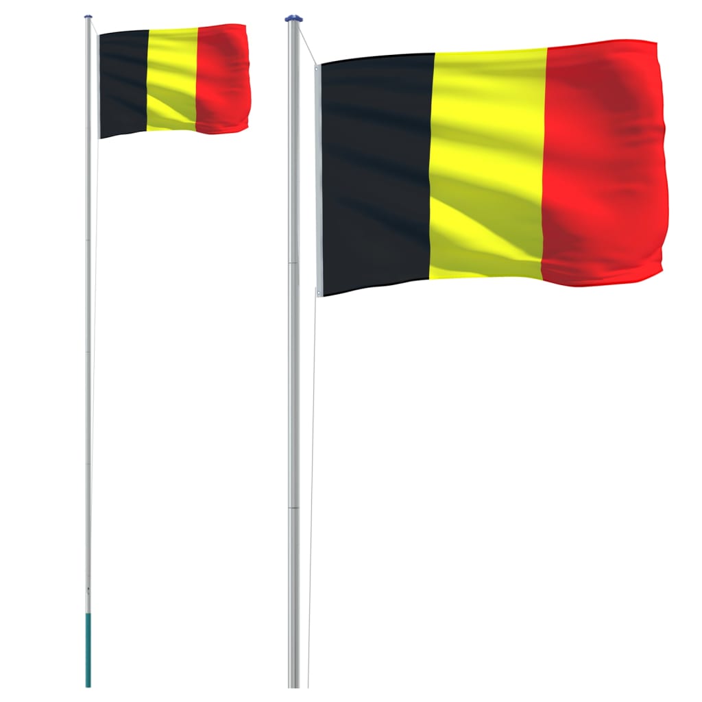 VidaXL Vlag met vlaggenmast 6,23 m aluminium