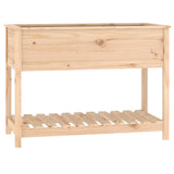 Vidaxl plantenbak met schap 111,5x54x81 cm massief grenenhout