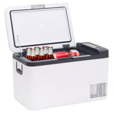 Vidaxl koelbox met handvat 18 l pp pe zwart en wit