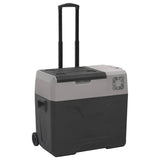 Vidaxl koelbox met wielen en handvat 40 l polypropeen zwart en grijs
