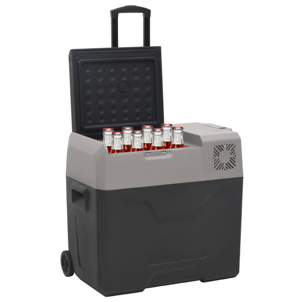 Vidaxl koelbox met wielen en handvat 50 l polypropeen zwart en grijs