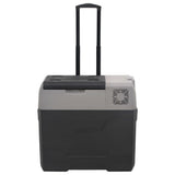 Vidaxl koelbox met wielen en handvat 50 l polypropeen zwart en grijs