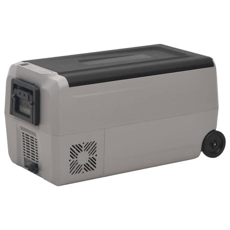 Vidaxl koelbox met wielen en handvat 50 l polypropeen zwart en grijs