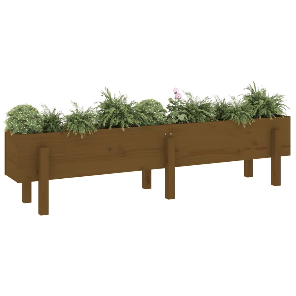 Vidaxl plantenbak verhoogd 160x30x38 cm massief grenenhout honingbruin