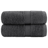 Vidaxl gastendoekjes solund 2 st 600 g m² 30x50 cm antracietkleur