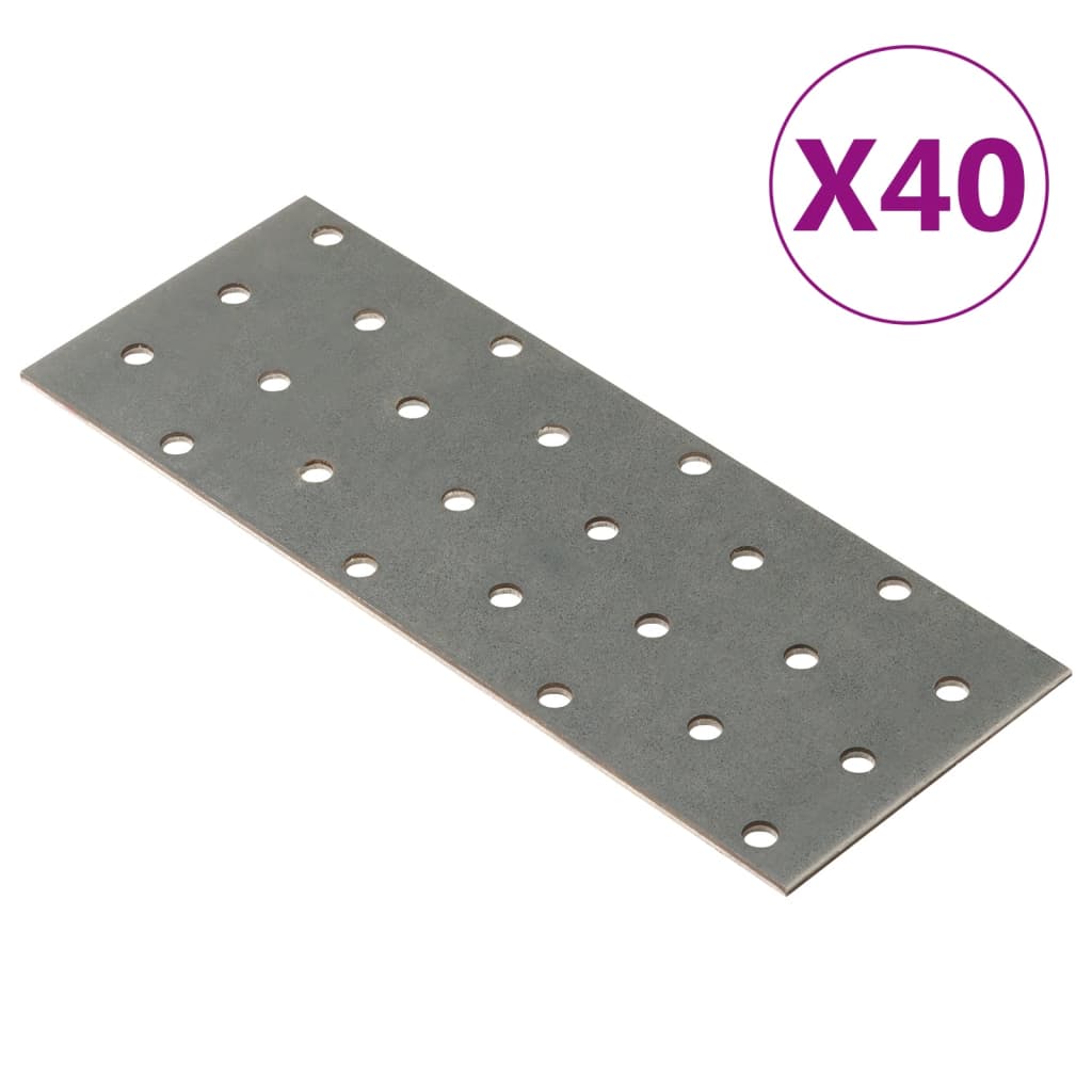 VidaXL Platen geperforeerd 40 st 2 mm 160x60 mm gegalvaniseerd staal