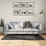 Vidaxl vloerkleed istan hoogpolig glanzend 80x150 cm antracietkleurig
