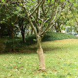 Vidaxl juterol 0,5x5 m 100% jute 200 g m²