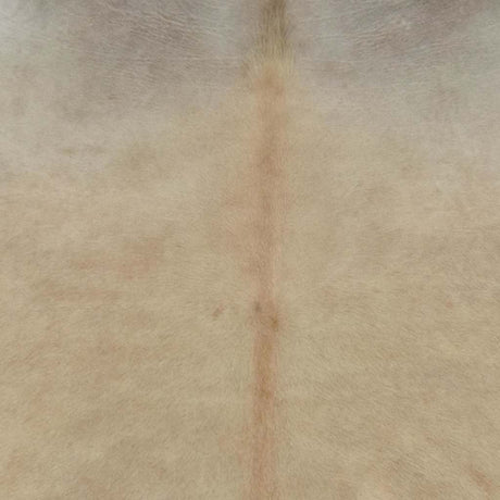 Vidaxl vloerkleed 180x220 cm echte koeienhuid beige