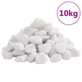 Vidaxl kiezelstenen gepolijst 2-5 cm 10 kg wit