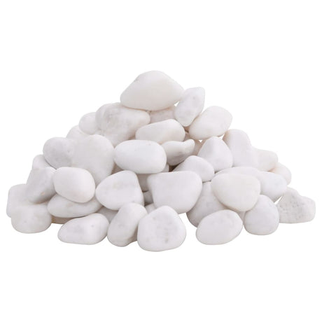 Vidaxl kiezelstenen gepolijst 2-5 cm 25 kg wit