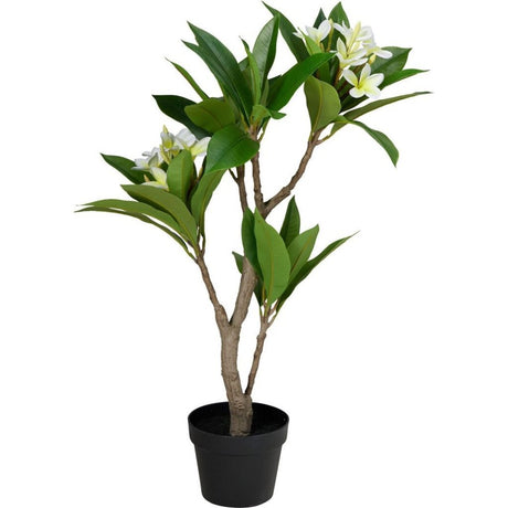 Overige merken kunstplant plumeria 50x90 cm wit groen
