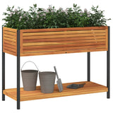 Vidaxl plantenbak met schap 110x45x80 cm massief acaciahout en staal