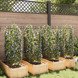 Vidaxl tomatenkooien 8 st 116 cm staal en polypropeen