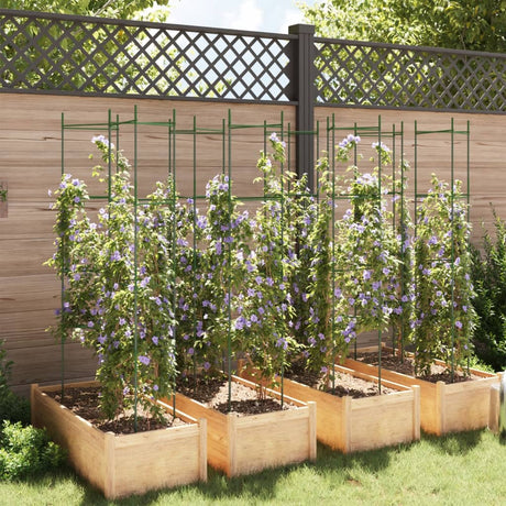 Vidaxl tomatenkooi 8 st 154 cm staal en polypropeen