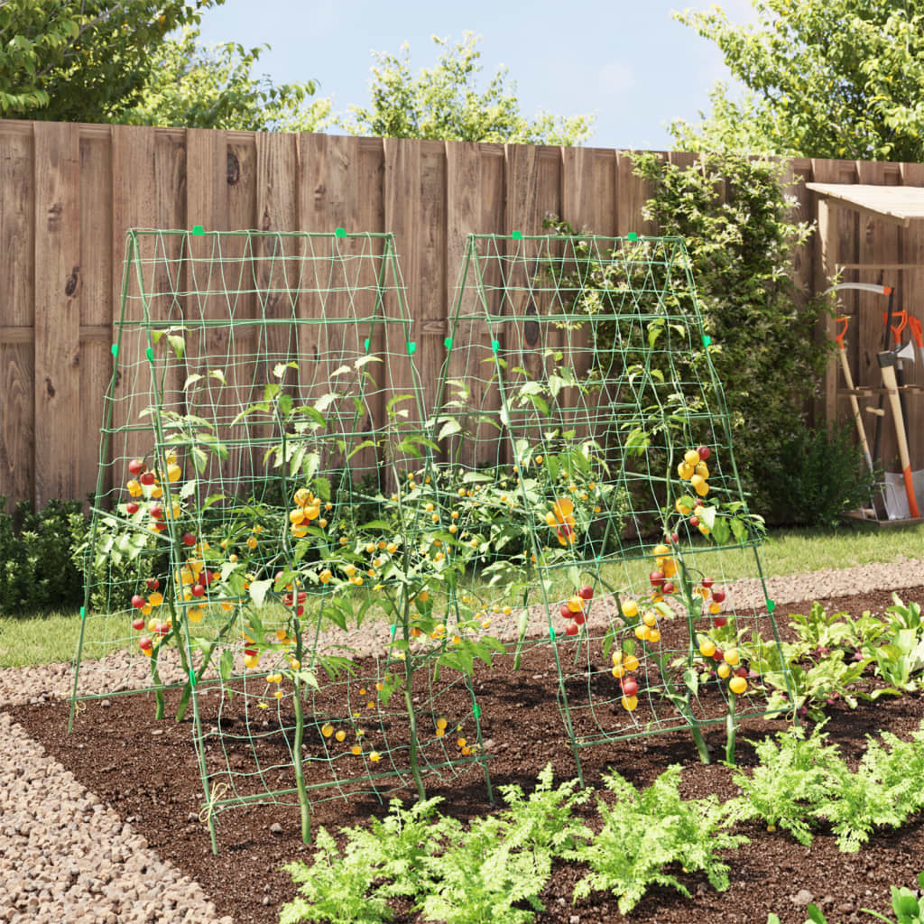 VidaXL Plantenklimrekken 2 st A-frame staal