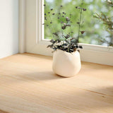 Vidaxl vensterbanken 2 st onbehandeld 140x25x2 cm massief eikenhout