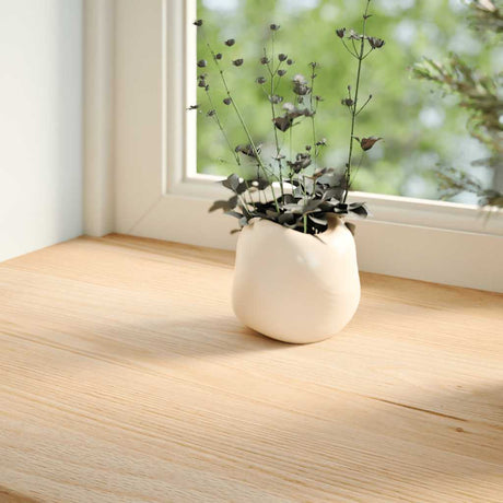Vidaxl vensterbanken 2 st onbehandeld 160x25x2 cm massief eikenhout