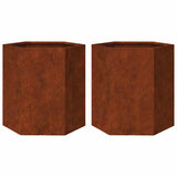 Vidaxl plantenbakken 2 st zeshoek 46x40x45 cm weervast staal