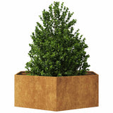 Vidaxl plantenbak zeshoek 138x120x45 cm weervast staal