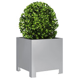 Vidaxl plantenbak 30x30x30 cm gegalvaniseerd staal