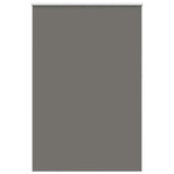 Vidaxl rolgordijn verduisterend 150x210 cm stofbreedte 146,6 cm grijs