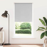 Vidaxl rolgordijn verduisterend 100x210cm stofbreedte 95,7cm polyester