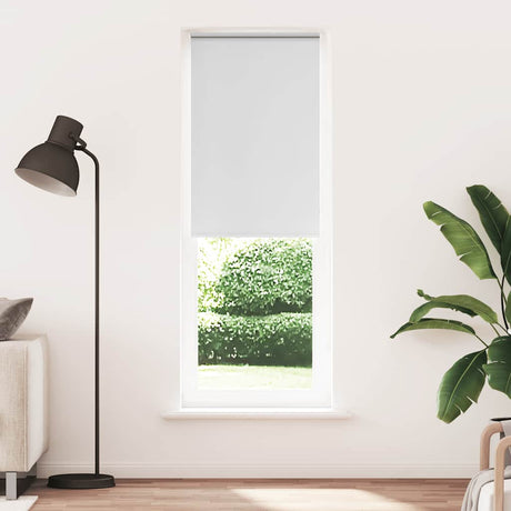 Vidaxl rolgordijn verduisterend 65x230cm stofbreedte 60,7 cm polyester