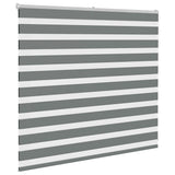 Vidaxl zebra rolgordijn 165x100 cm stofbreedte 160,9 cm donkergrijs