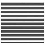 Vidaxl zebra rolgordijn 165x100 cm stofbreedte 160,9 cm zwart