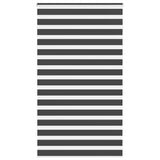 Vidaxl zebra rolgordijn 120x230 cm stofbreedte 115,9 cm zwart
