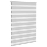 Vidaxl zebra rolgordijn 100x150 cm stofbreedte 95,9 cm lichtgrijs