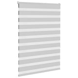 Vidaxl zebra rolgordijn 100x150 cm stofbreedte 95,9 cm lichtgrijs
