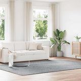 Vidaxl hoogpolig vloerkleed navarra 240x340 cm polyester lichtgrijs
