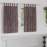 Vidaxl velvet gordijnen met gordijnen 2 pcs bruin 140 x 140 cm fluweel