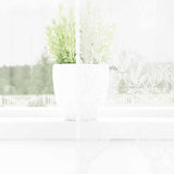 Vidaxl kantgordijn met gordijnen bloemen wit 260x200cm polyester