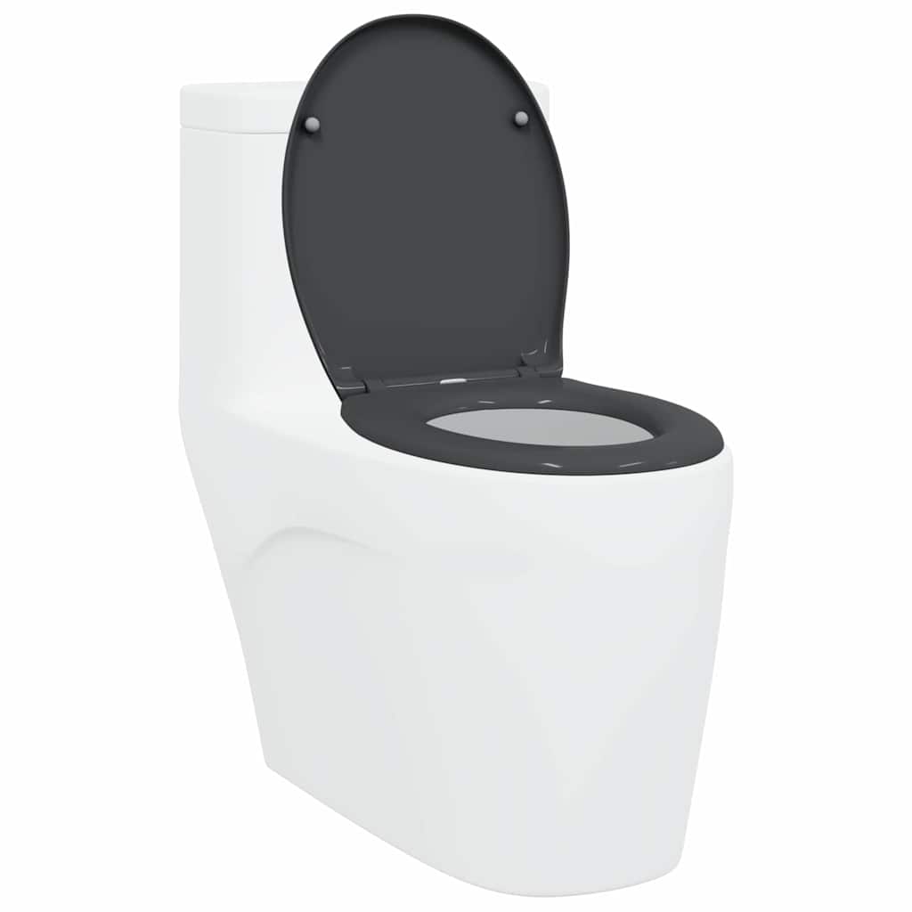 Vidaxl toiletzitting antraciet 47 x 37 x 4 cm duroplast