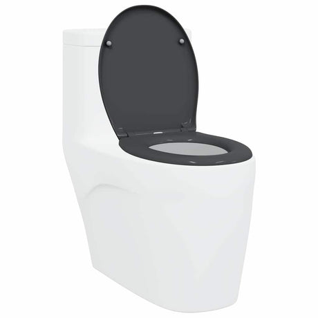 Vidaxl toiletzitting antraciet 47 x 37 x 4 cm duroplast