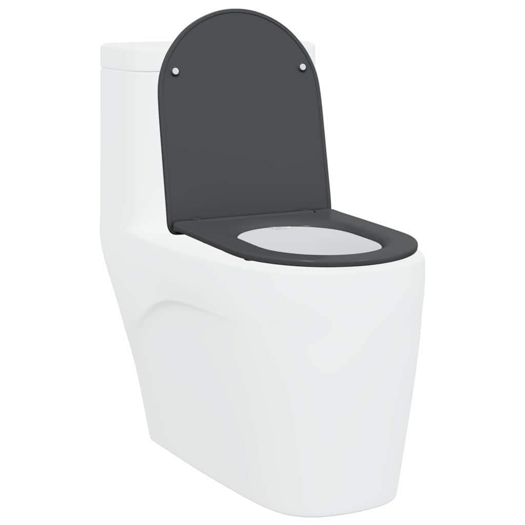 Vidaxl toiletzitting antraciet 47 x 36 x 3,4 cm duroplast